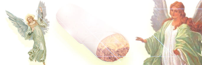 The elusive, almighty Chili Cheese Burrito!