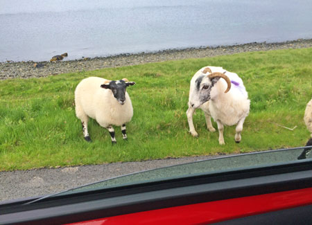 Cairstine and Hamish, a couple of locals