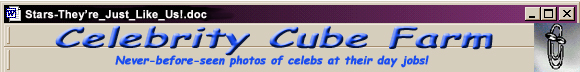 Celebrity Cubicle Gallery